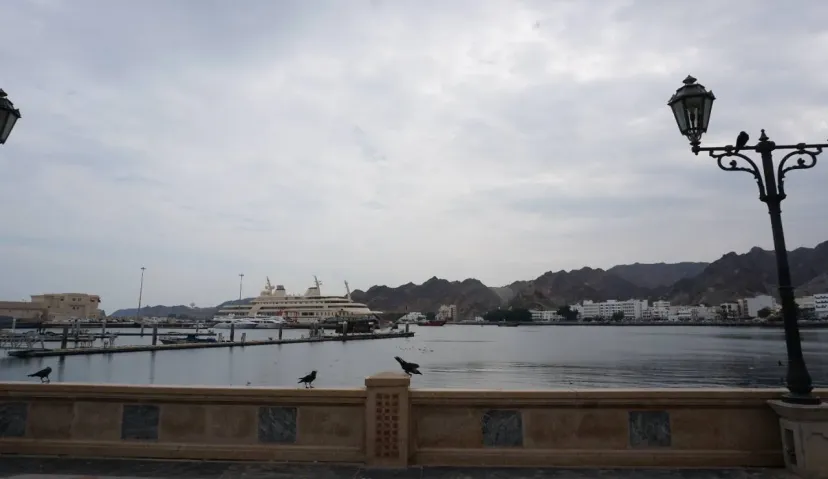 Night In Muscat - Including Dinner and Exploration 5