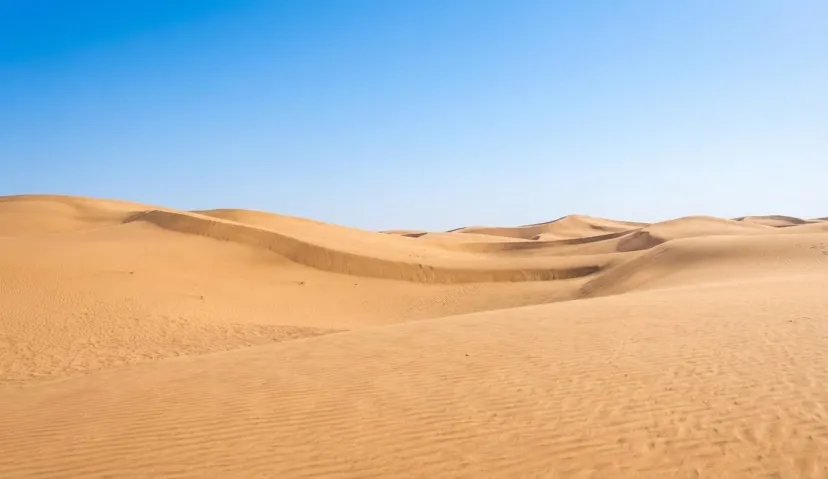 Wahiba Sands – Desert Safari Adventure 1